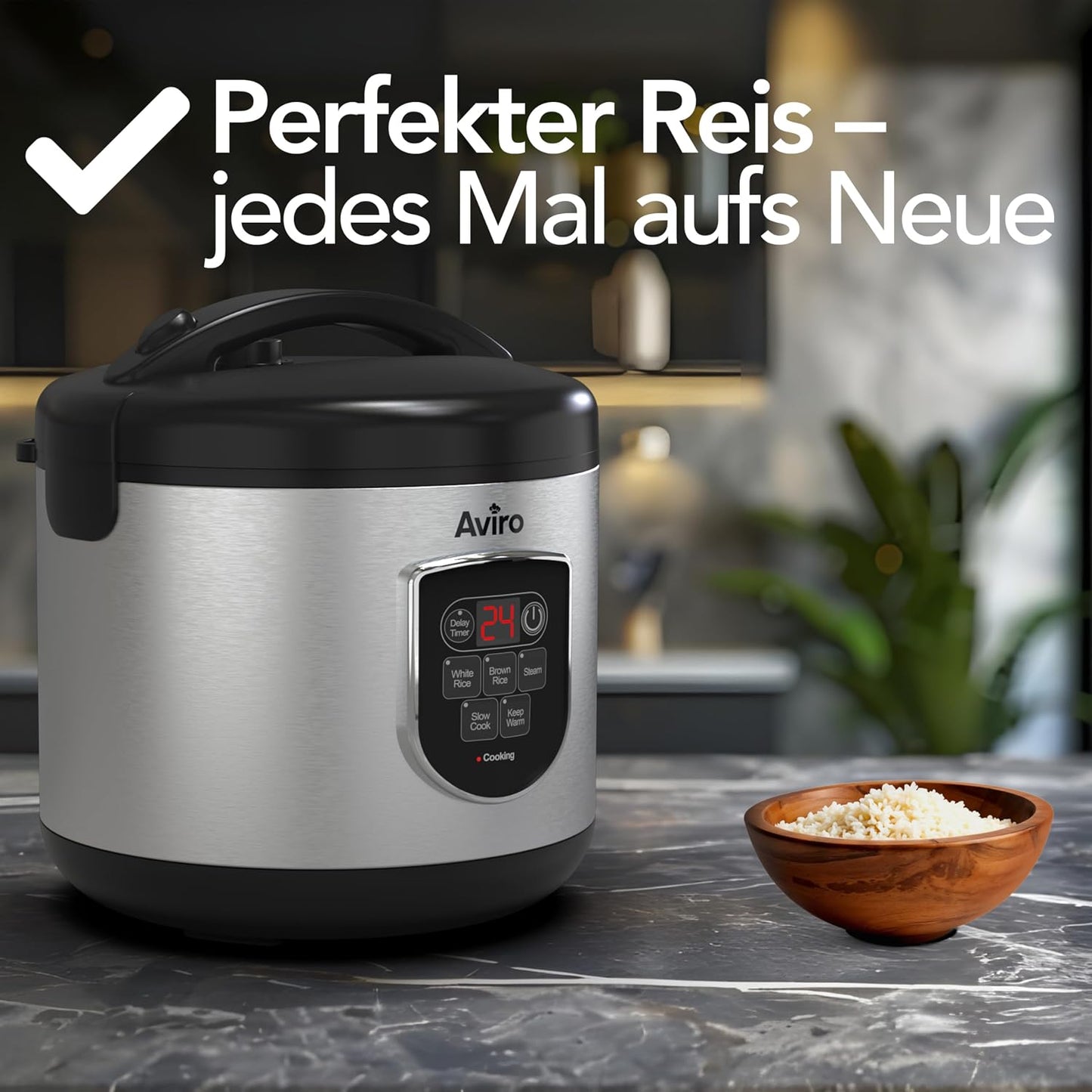 Reiskocher & Slow Cooker