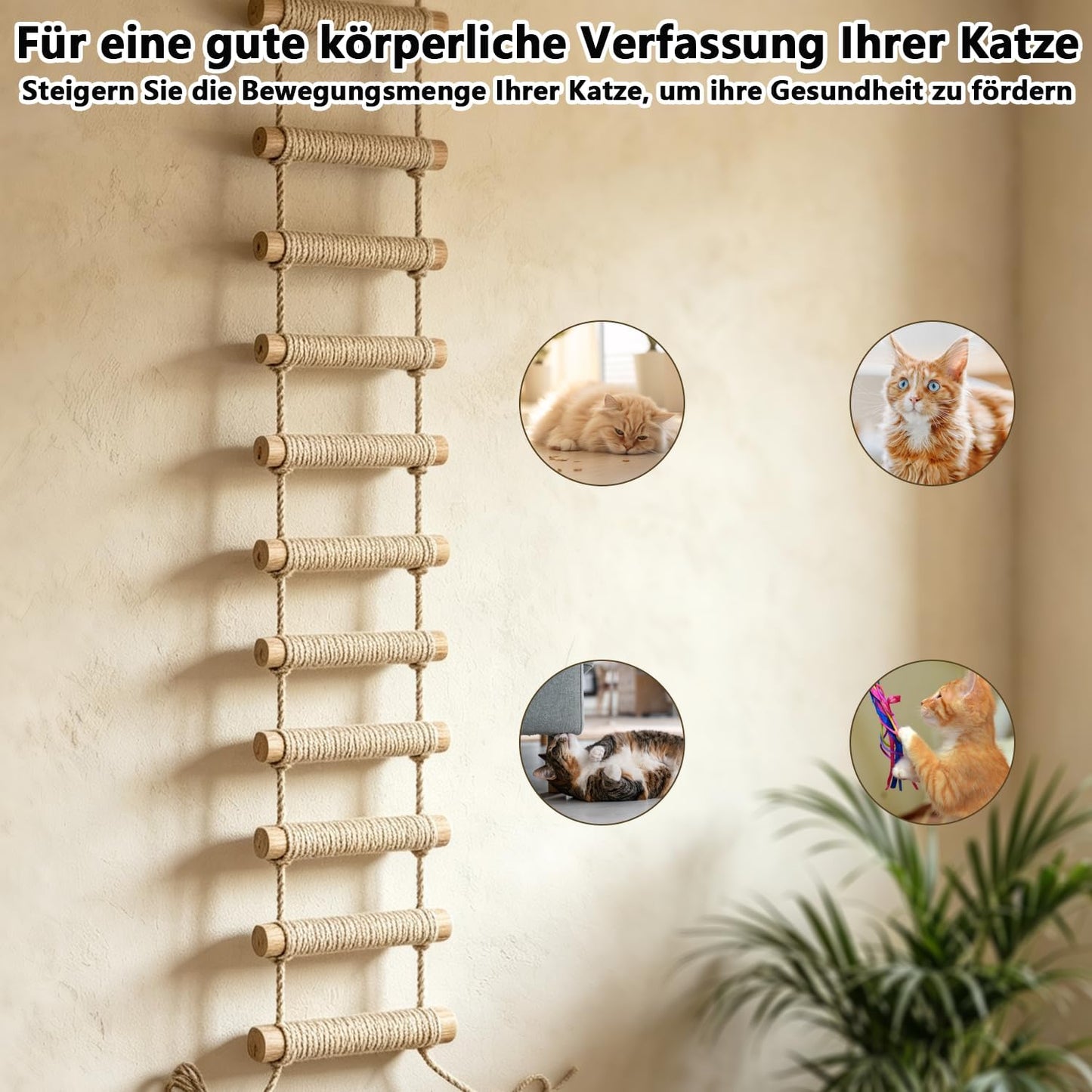 2-in-1 Kletterleiter & Katzentreppe