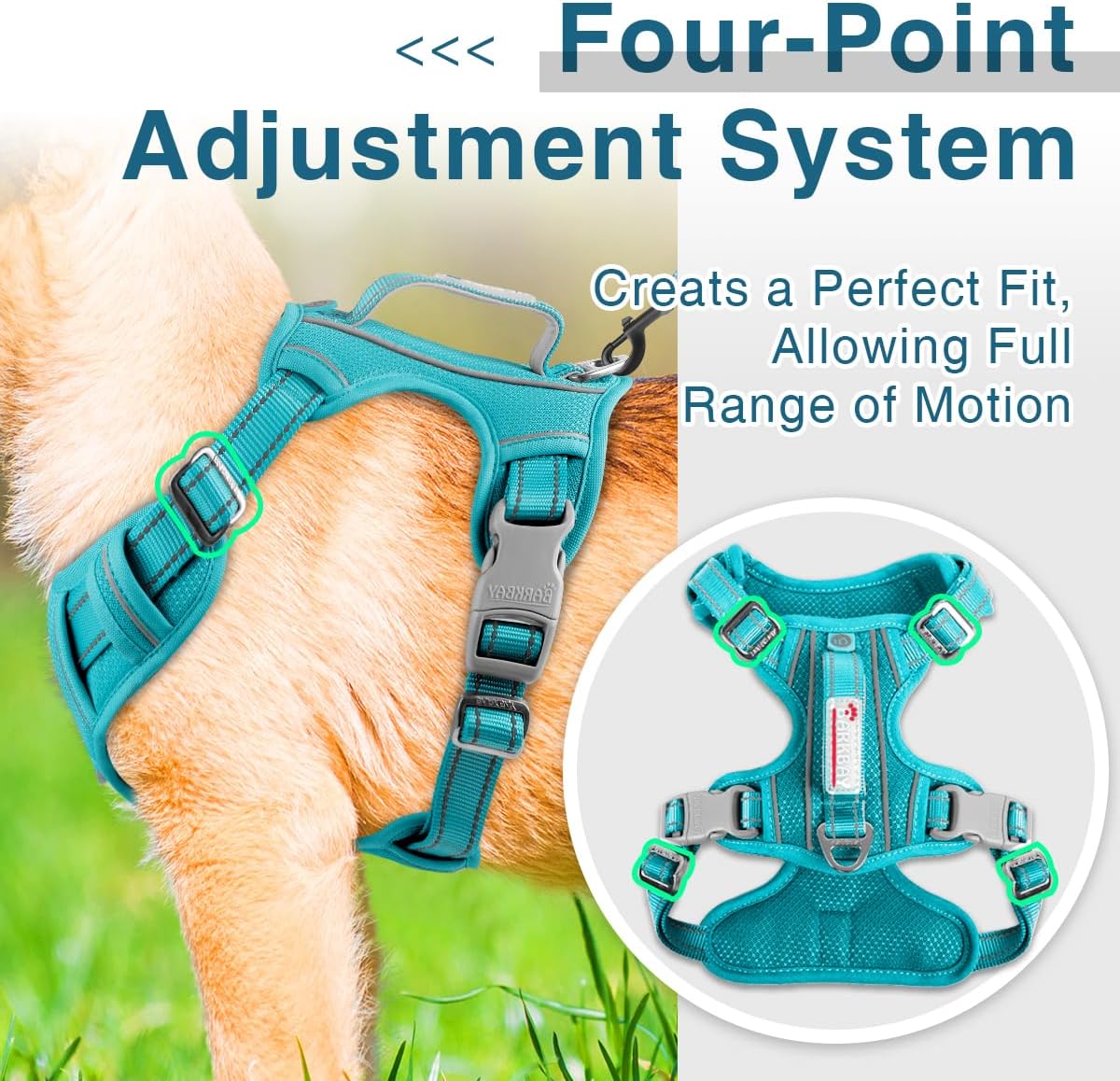 Hundegeschirr, Medium(Chest:22-27") Blau