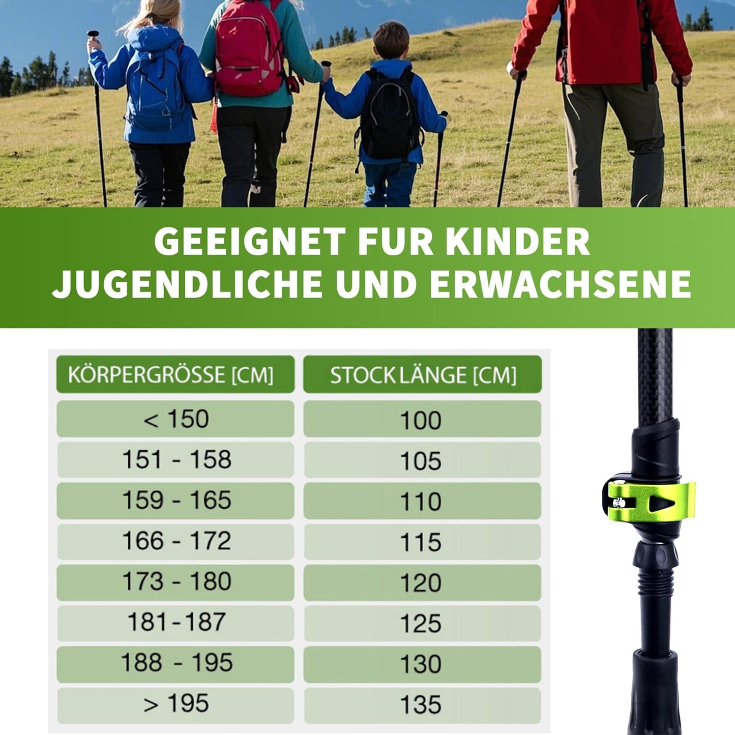 Verstellbare Teleskop Wanderstöcke mit Korkgriff und Zubehör, Grün