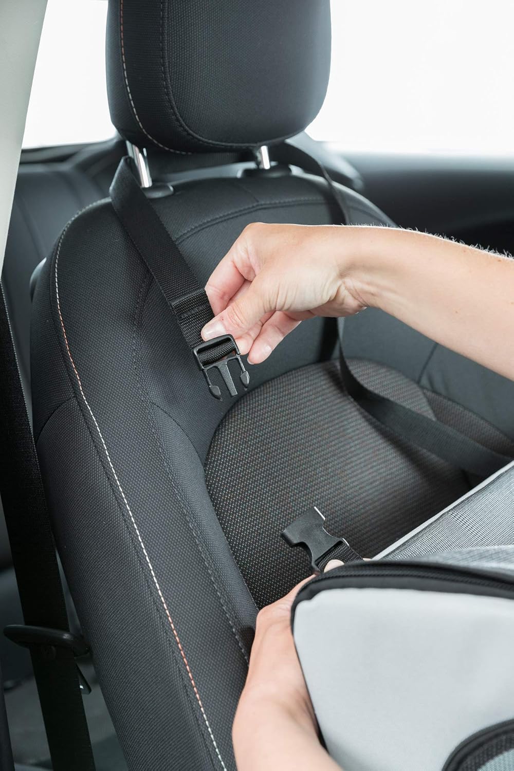 Autositz für Hunde