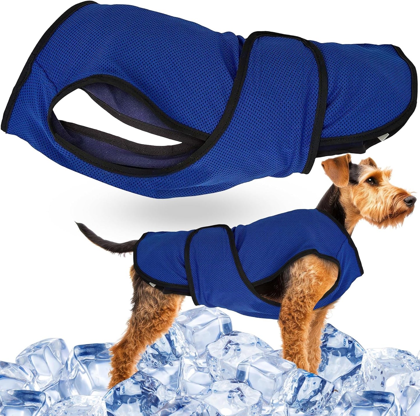 Hundekühlweste, M Blau