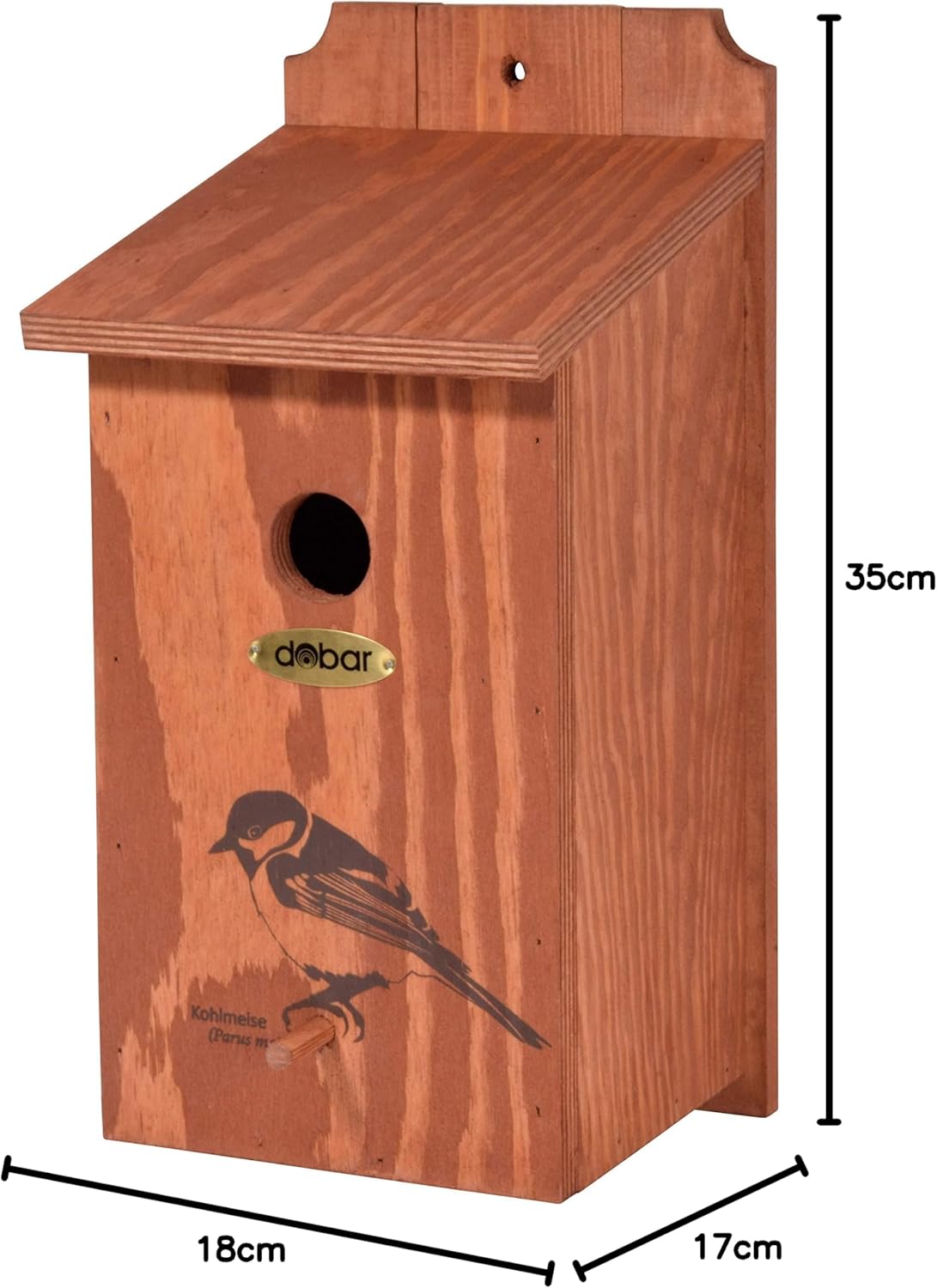 Nistkasten für Kohlmeisen, Kohlmeise