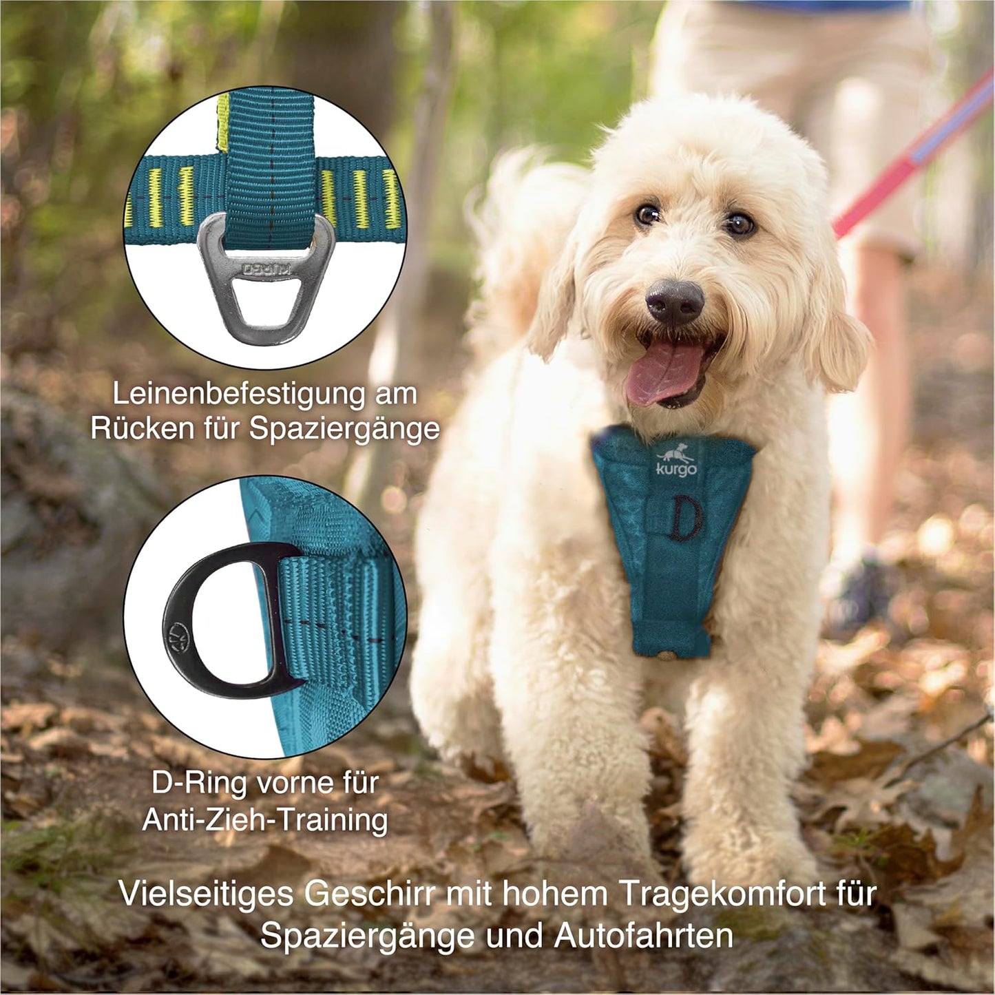 Tru-Fit Hundegeschirr mit Sicherheitsgurt für Auto, Tinte Blau S