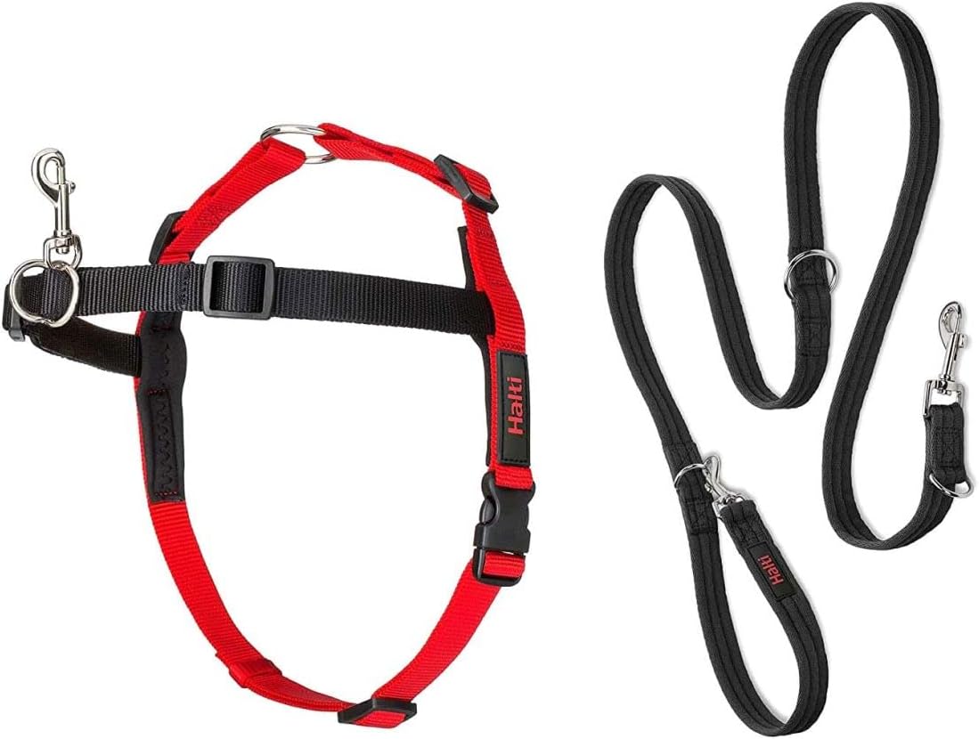 Front-Kontrollgeschirr & Trainingsleine Set