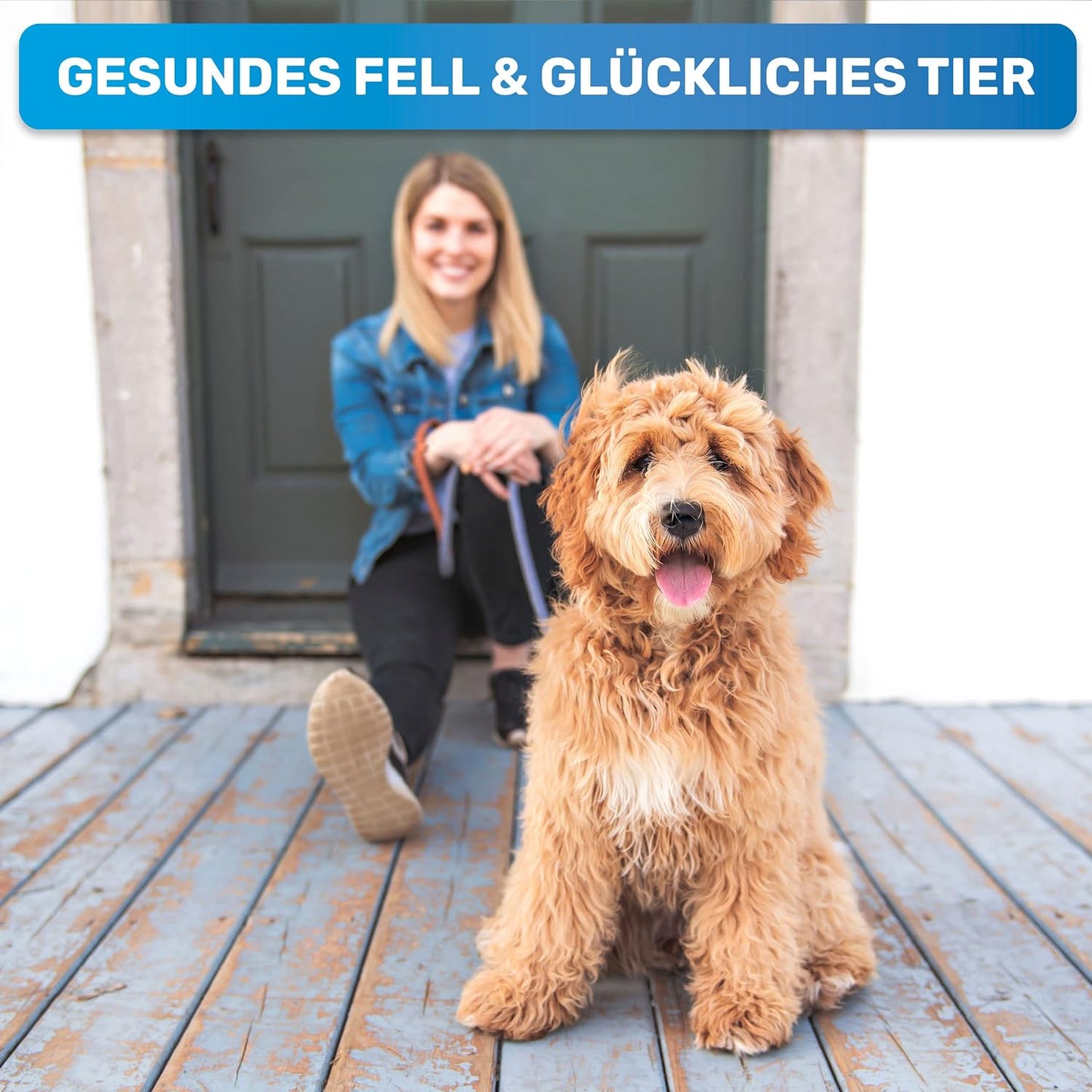 UnterwollToll Hundebürste, BESTSELLER Grösse M-L Blau