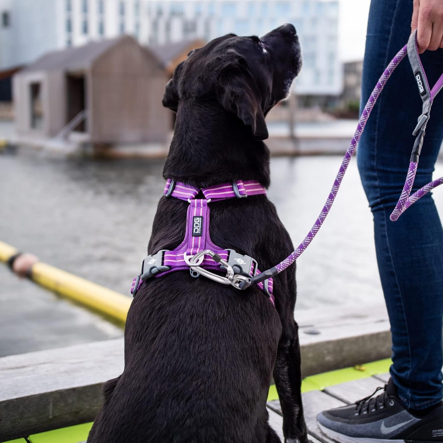 Comfort Walk Air Hundegeschirr, Mocca XS