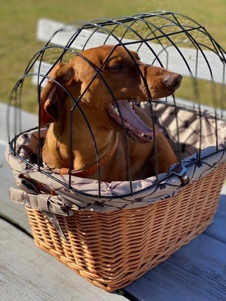 Retro Velokorb für Tiere, mit Stoffbesatz