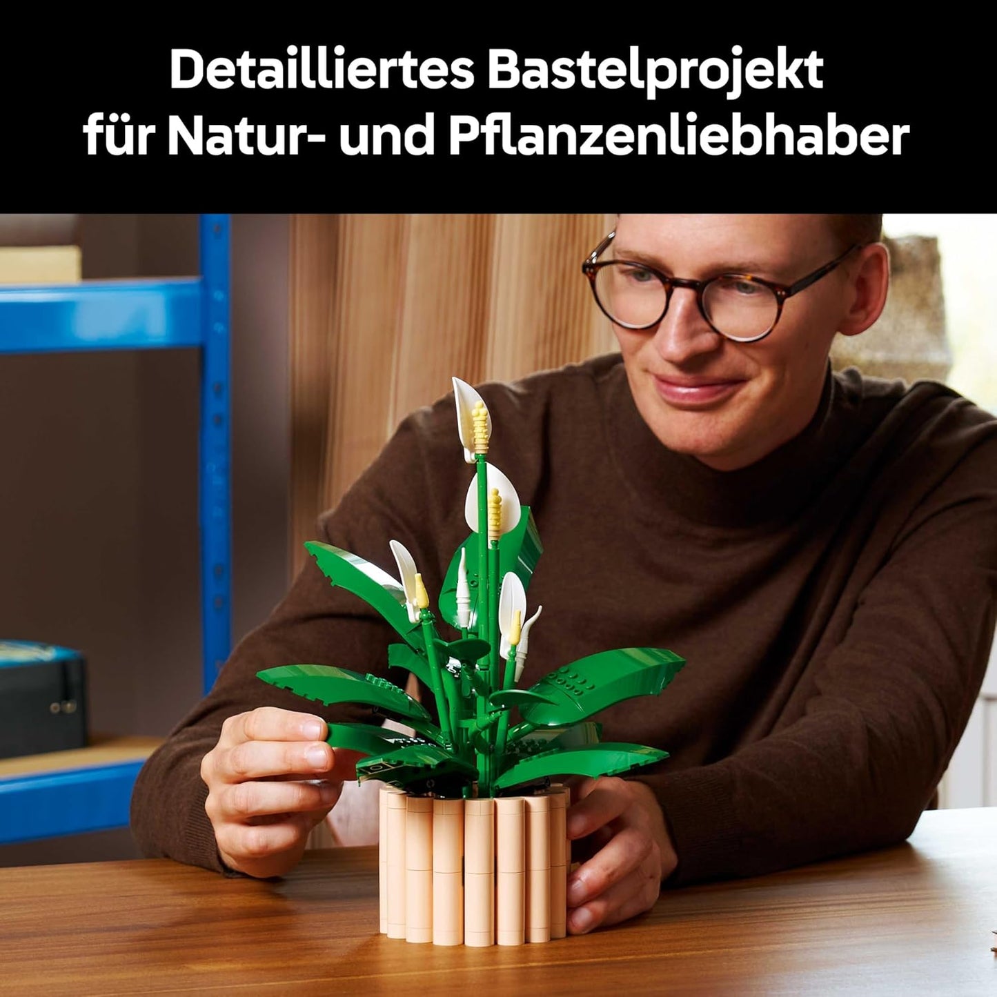 Friedenslilie