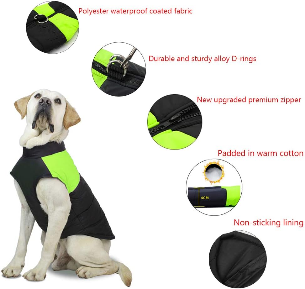 Hundemantel Wasserdicht Warm, Grün M
