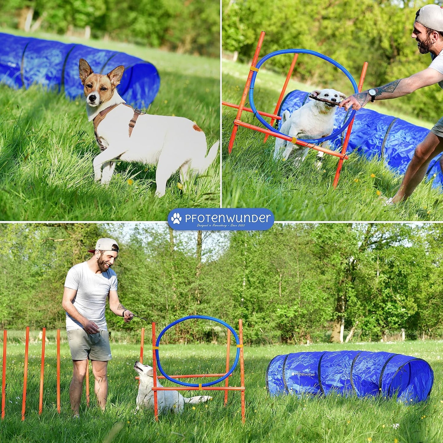 Agility-Set für Hunde, M-Set: Slalom, 1x Hürde, 1x Ring, 1x Tunnel