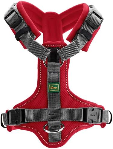 Geschirr Maldon, Rot XS