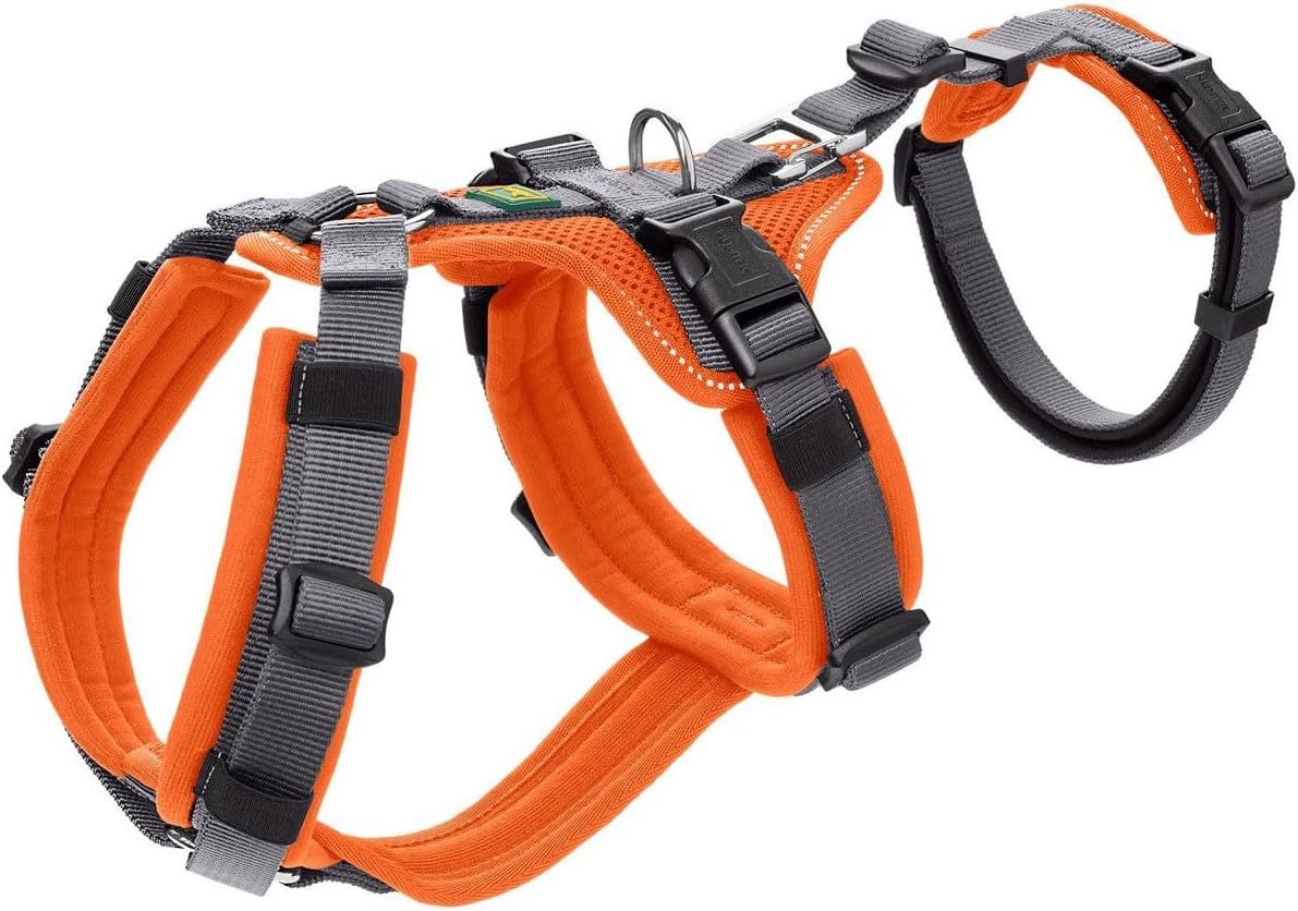 Sicherheitsgeschirr Maldon, S-M orange/grau