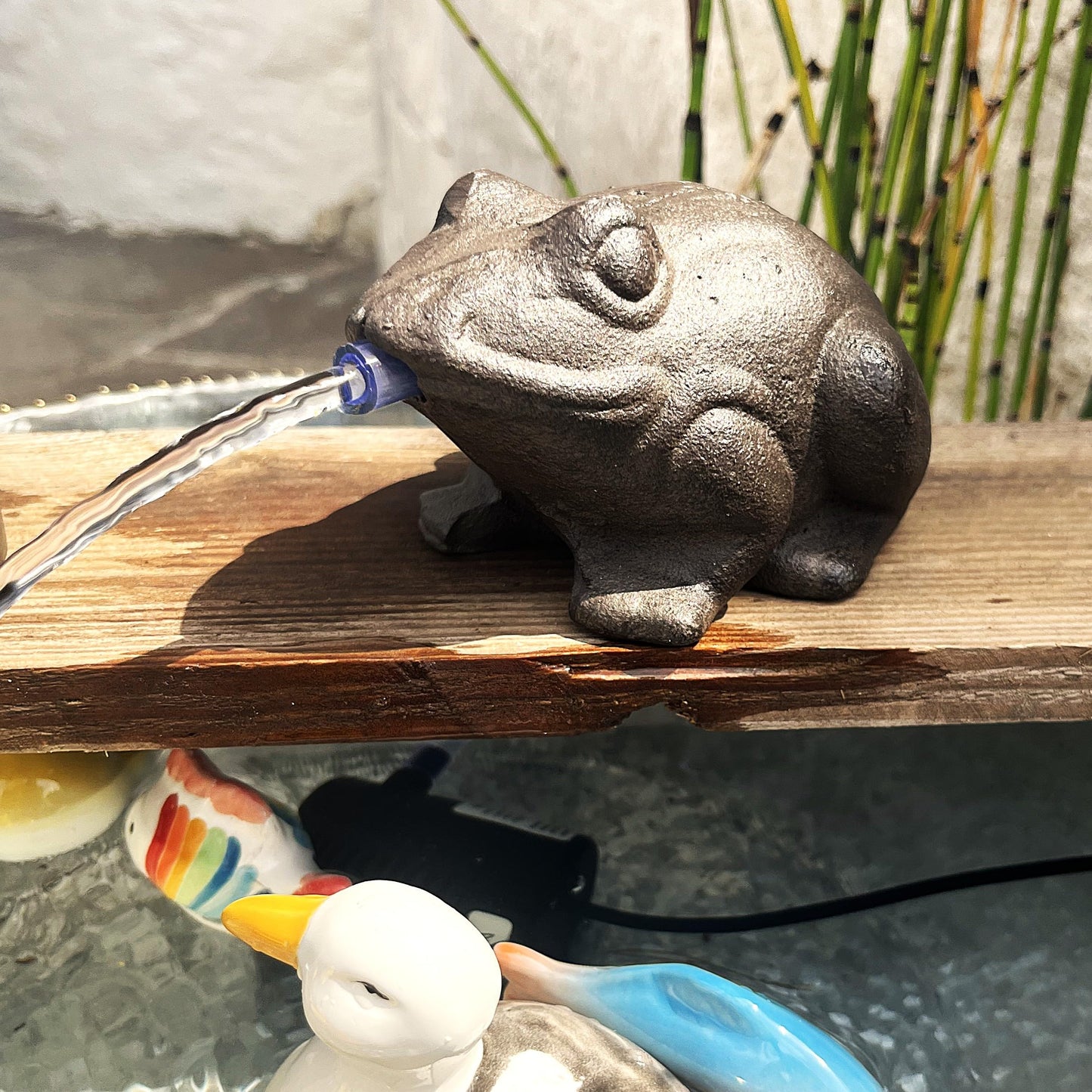 Wasserspeier-Frosch mit Aussenpumpe