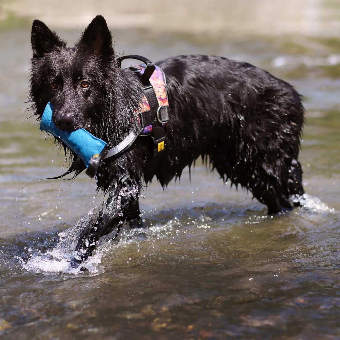 4-teiliges Hundespielzeug Beisswurst-Set für Apportieren, Agility-Training, Tauziehen, Set 4 Stück: 27 x 6 cm Mehrfarbig