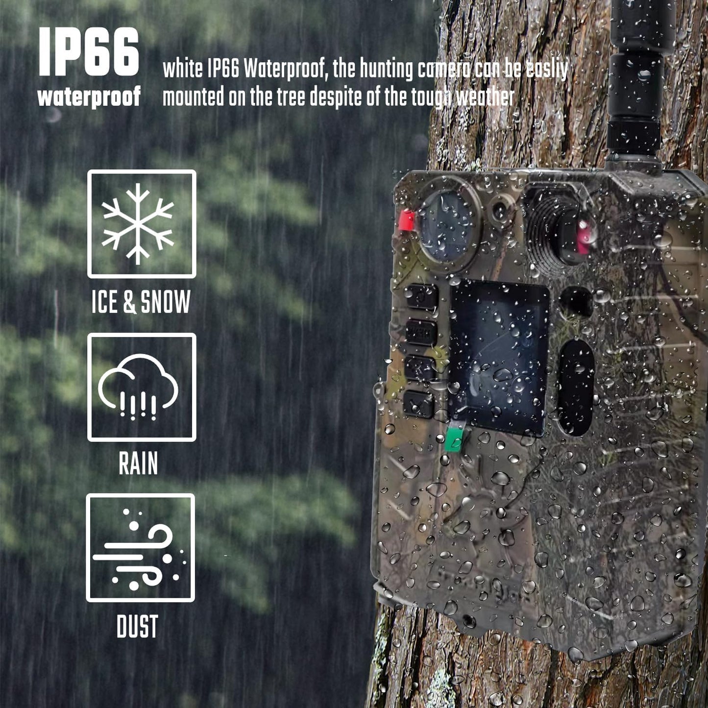 Wildkamera ‎BG410-MS