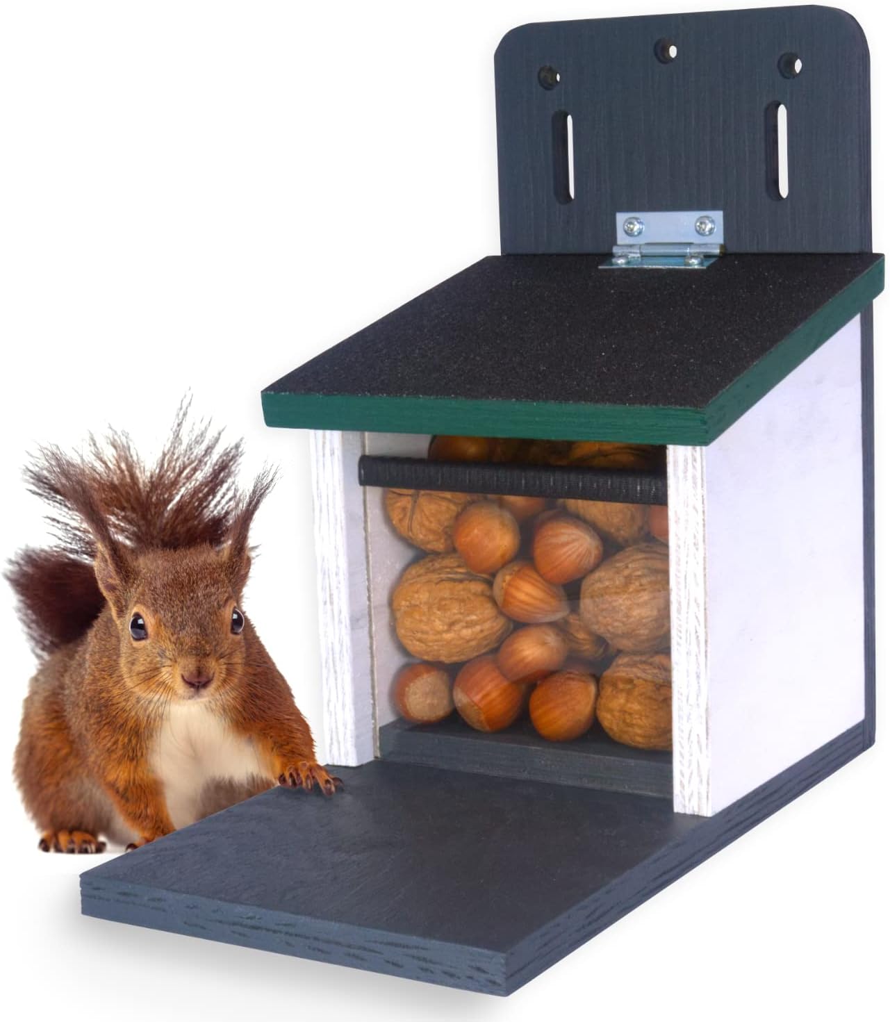 Futterhaus Eichhörnchen