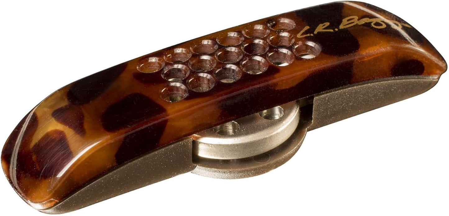 Mikrofonsystem für Westerngitarre