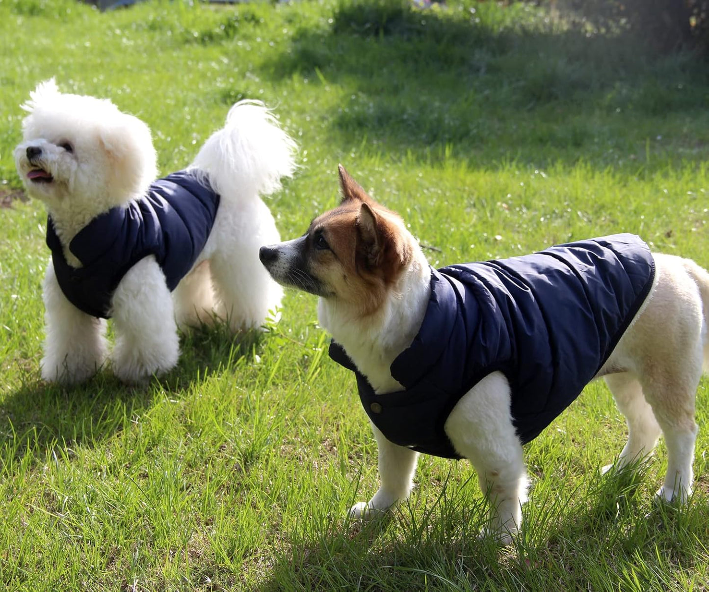 Gefütterte Hundejacke, S Blau