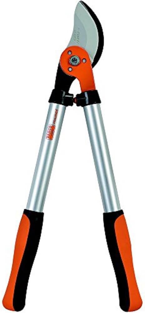 Astschere