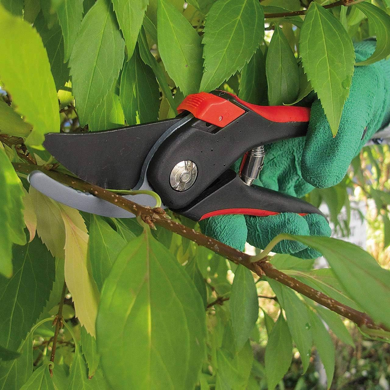 Gartenscheren-Set