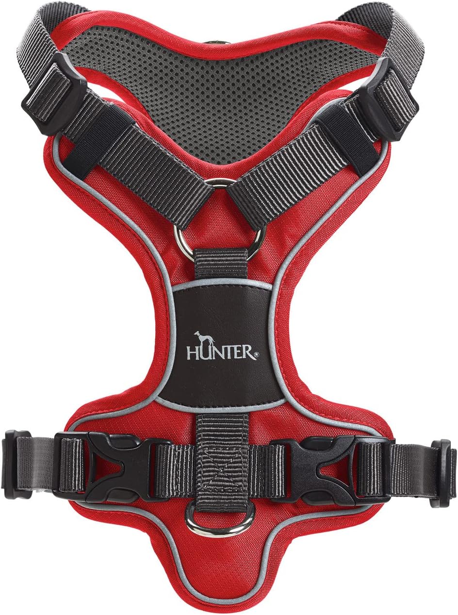 Geschirr Divo, 45 - 56 cm rot/grau