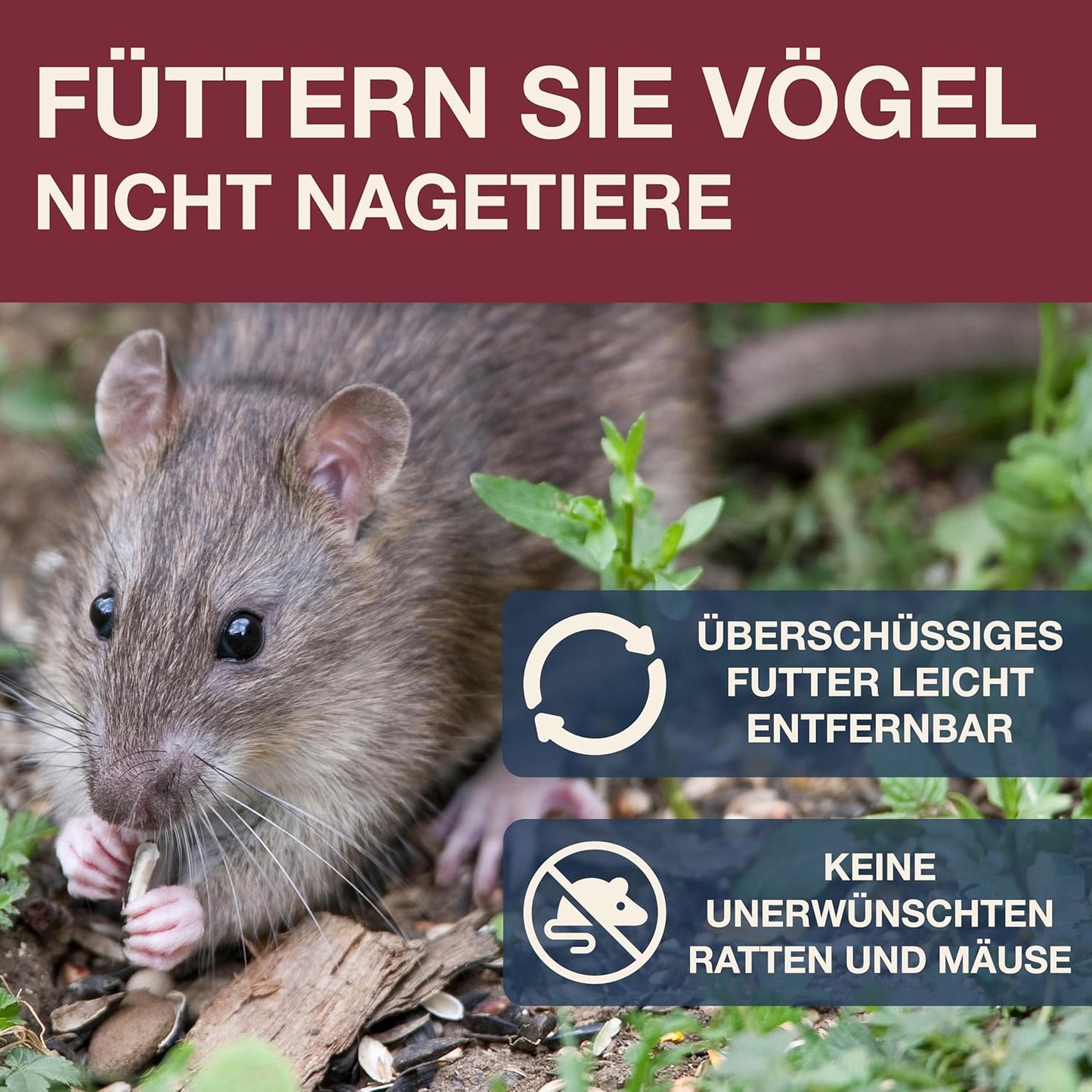 Vogel-Futtersilo Lucerne SMART BIRDS, Burgund Lucerne