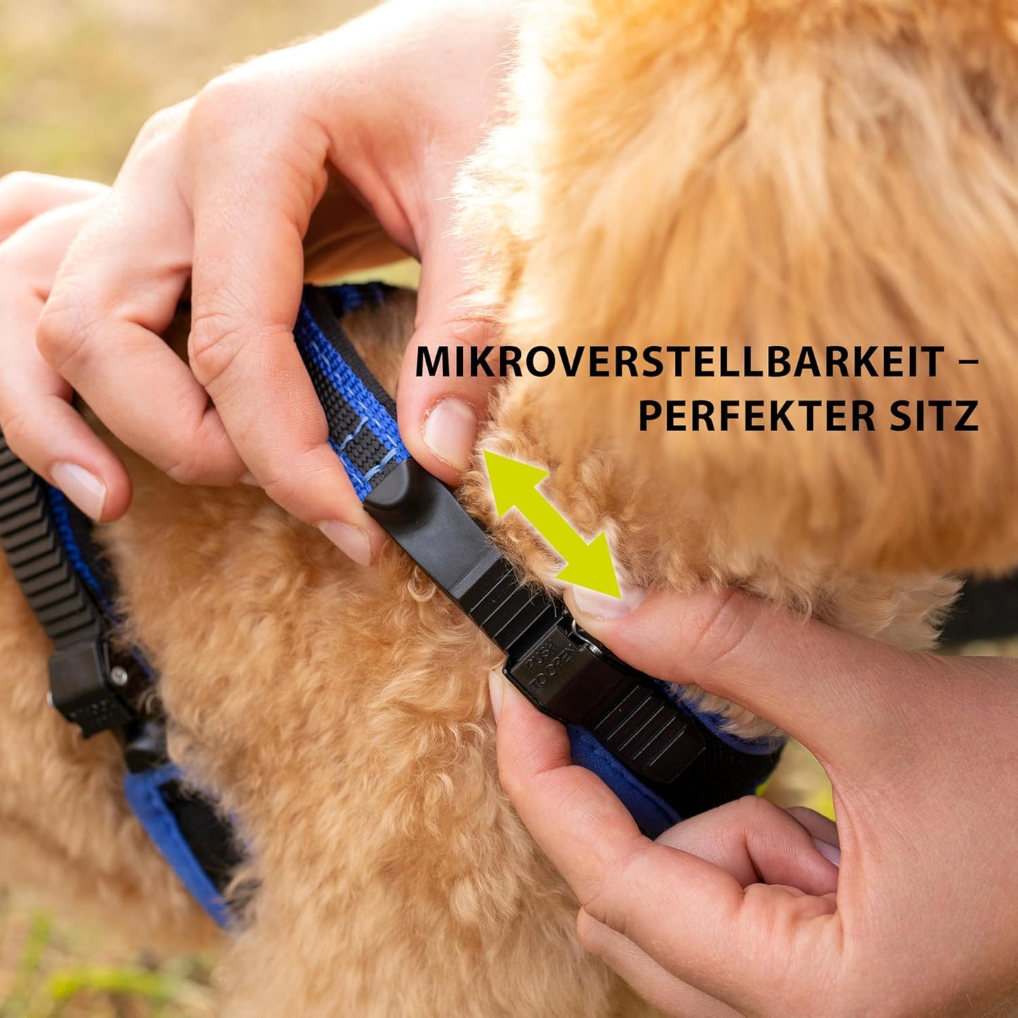 Verstellbares Ergocomfort Hundegeschirr, Halsumfang: 37-47 cm/ Brustumfang: 55-65 cm, blau