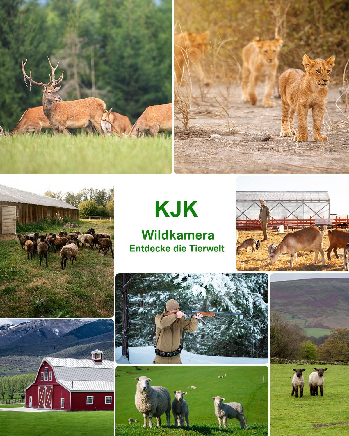 Wildkamera mit WLAN, 4K, Nachtsicht, IP67, 130° Winkel, Armeegrün