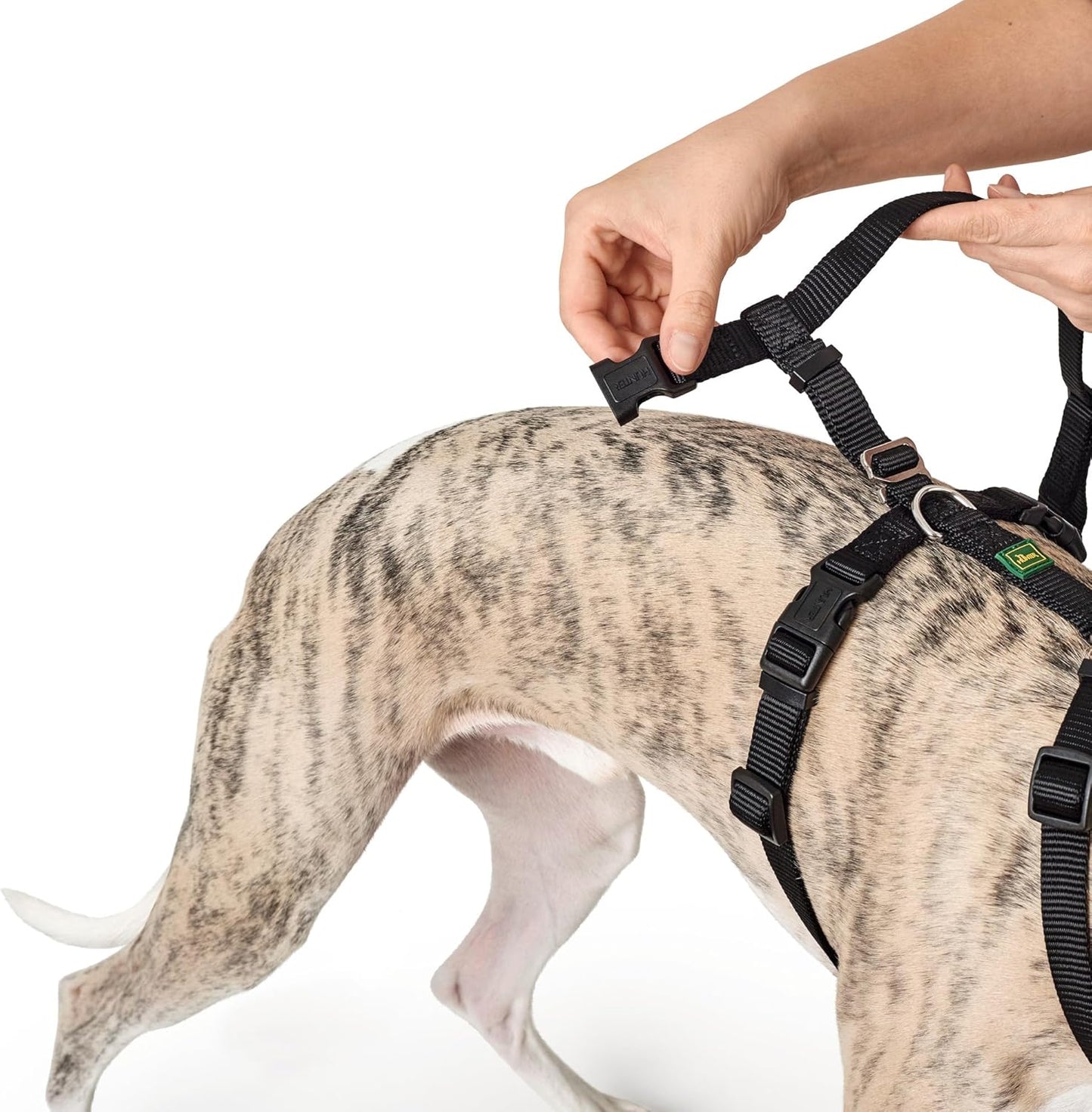 Hundegeschirr 38-52 cm Braun Schwarz XS/S, schwarz Einheitsgrösse