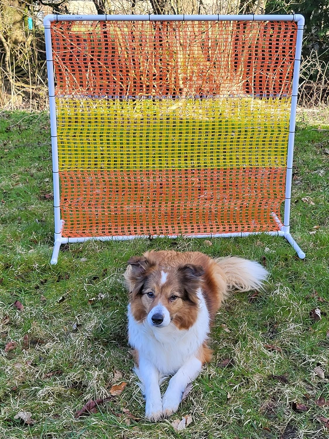 Hoopers Agility Zaun, 2 Stück