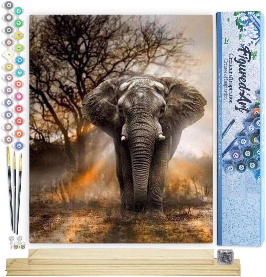 Malen nach Zahlen Set mit Rahmen - Einsamer Elefant, Einsamer Elefant 40x50cm Mit Keilrahmen (nicht gespannt)