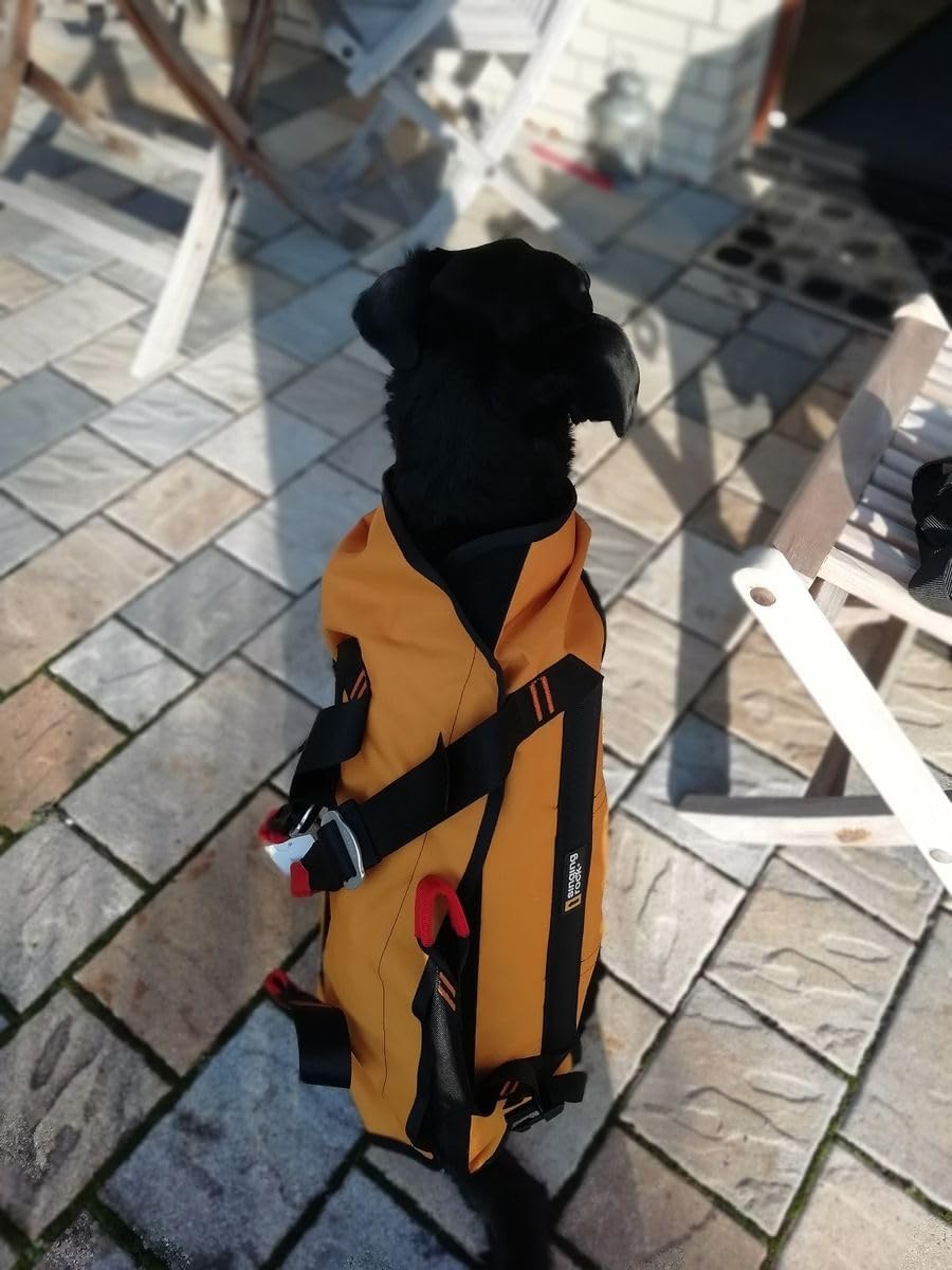 Rettungshundegeschirr Laika