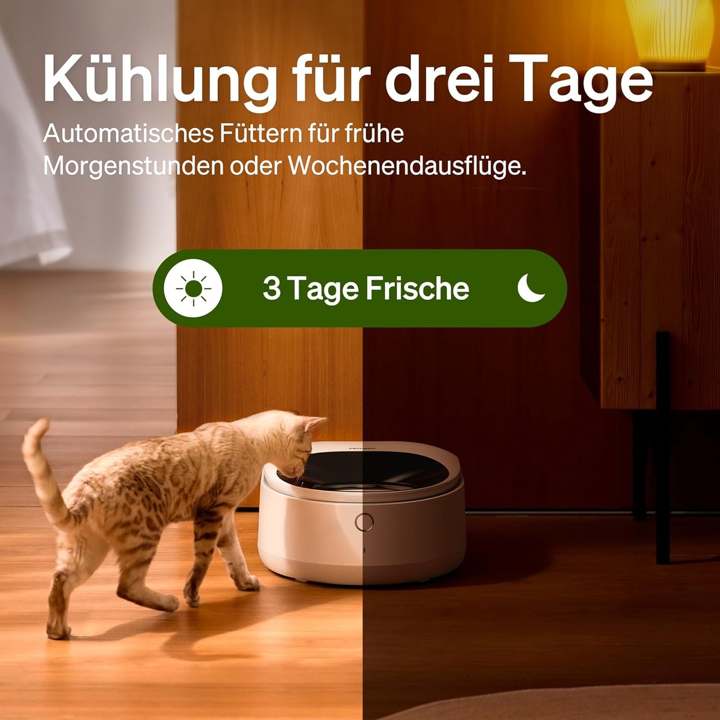 Futterautomat für Katzen, Weiß