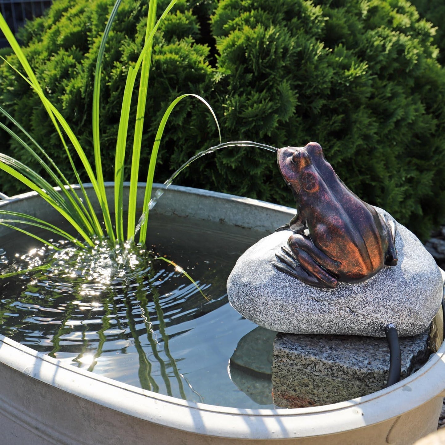 Wasserspeier Frosch mit Springbrunnenpumpen-Set, Strompumpe + Frosch NSP10