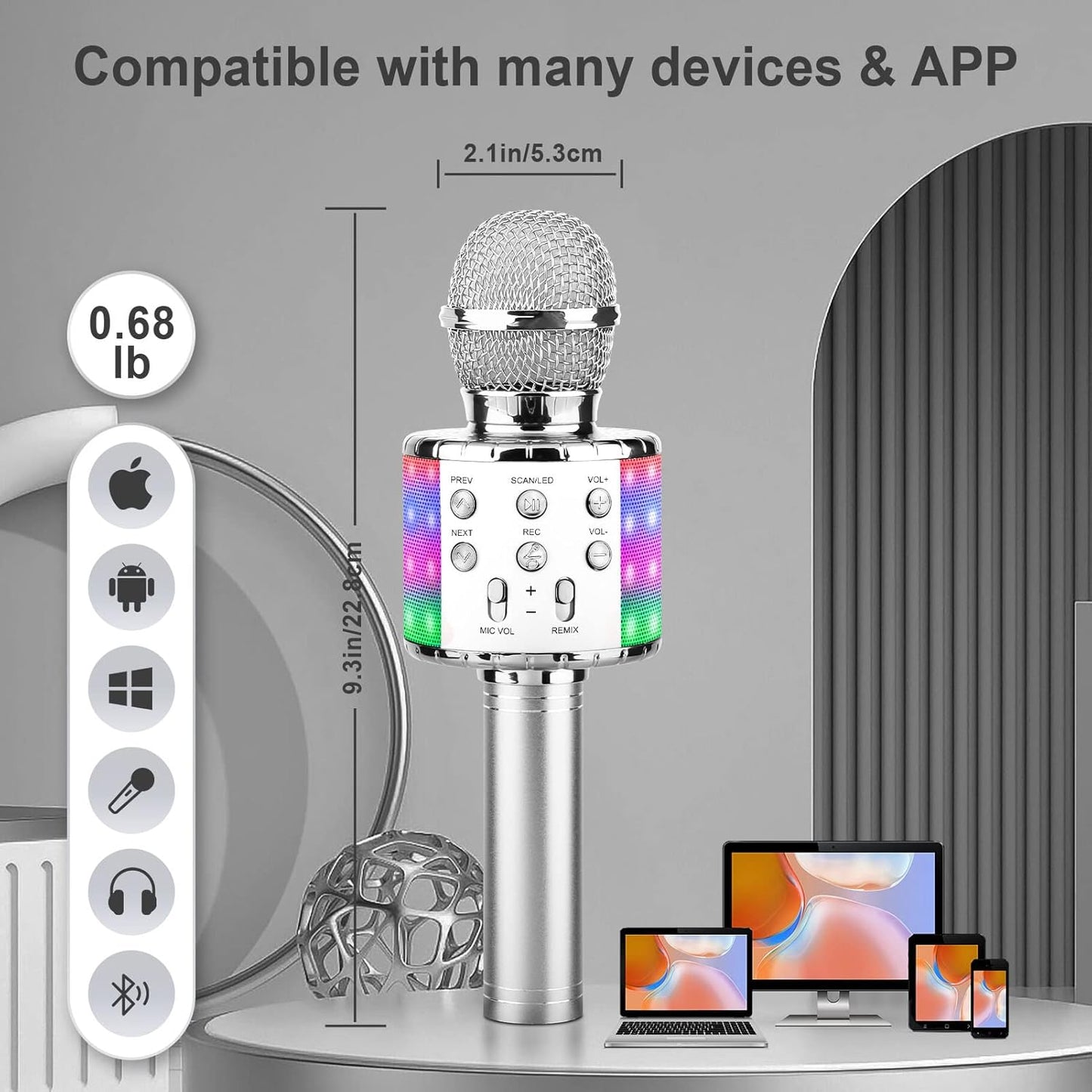 4-in-1 Kinder-Karaoke Mikrofon, silver