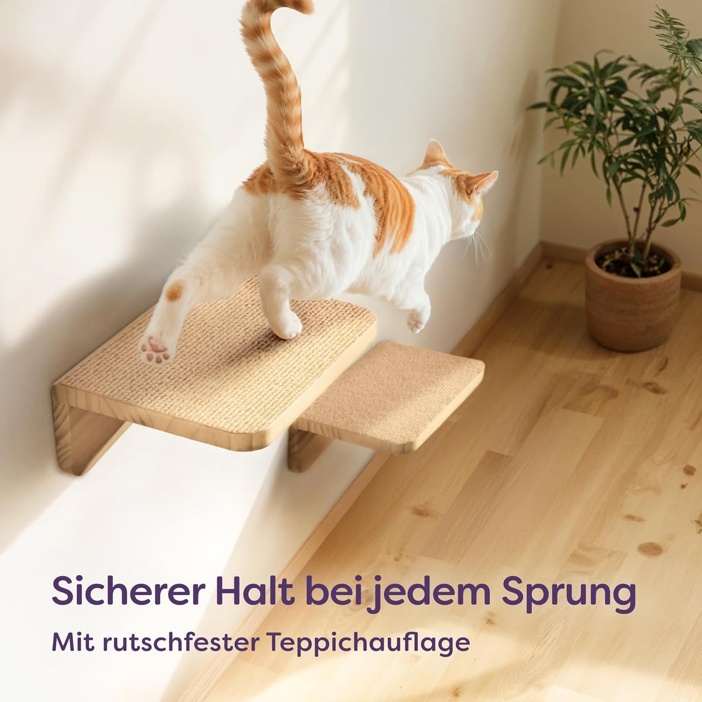 Katzen-Kletterwand-Set mit Hängematte