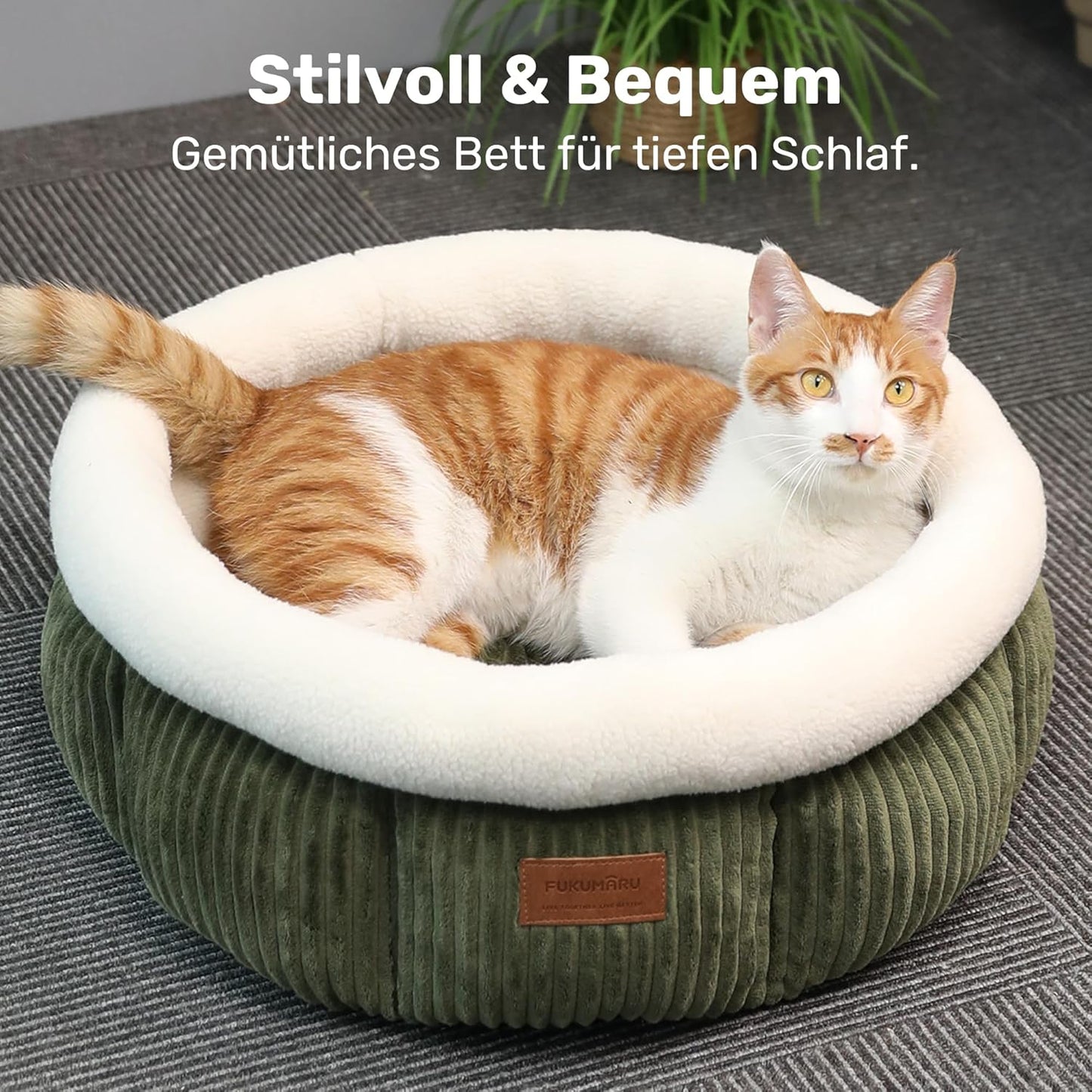 Katzenbett waschbar mit erhöhtem Rand, grün