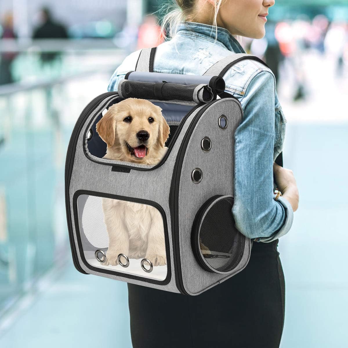 Erweiterbarer Haustier-Rucksack, grau