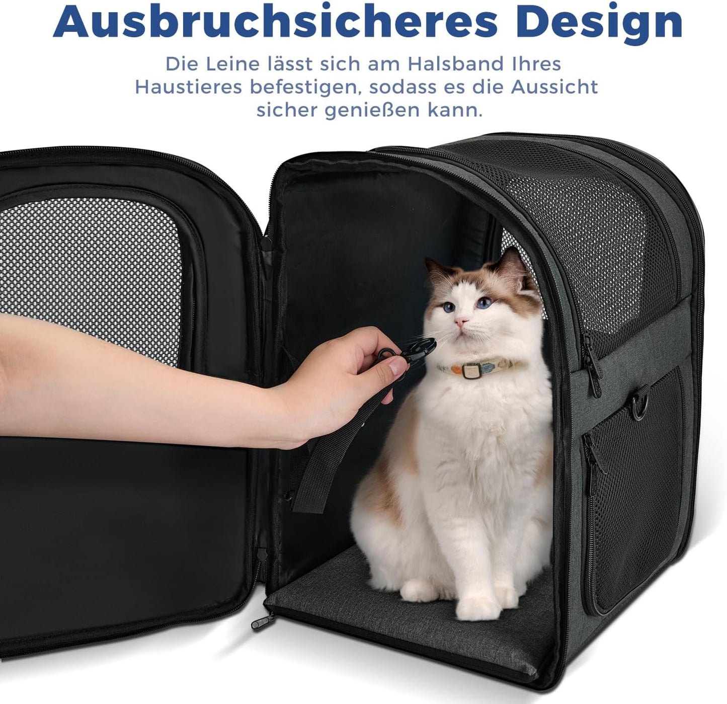 Falzbarer Haustier-Rucksack bis 12 kg, Schwarz-a