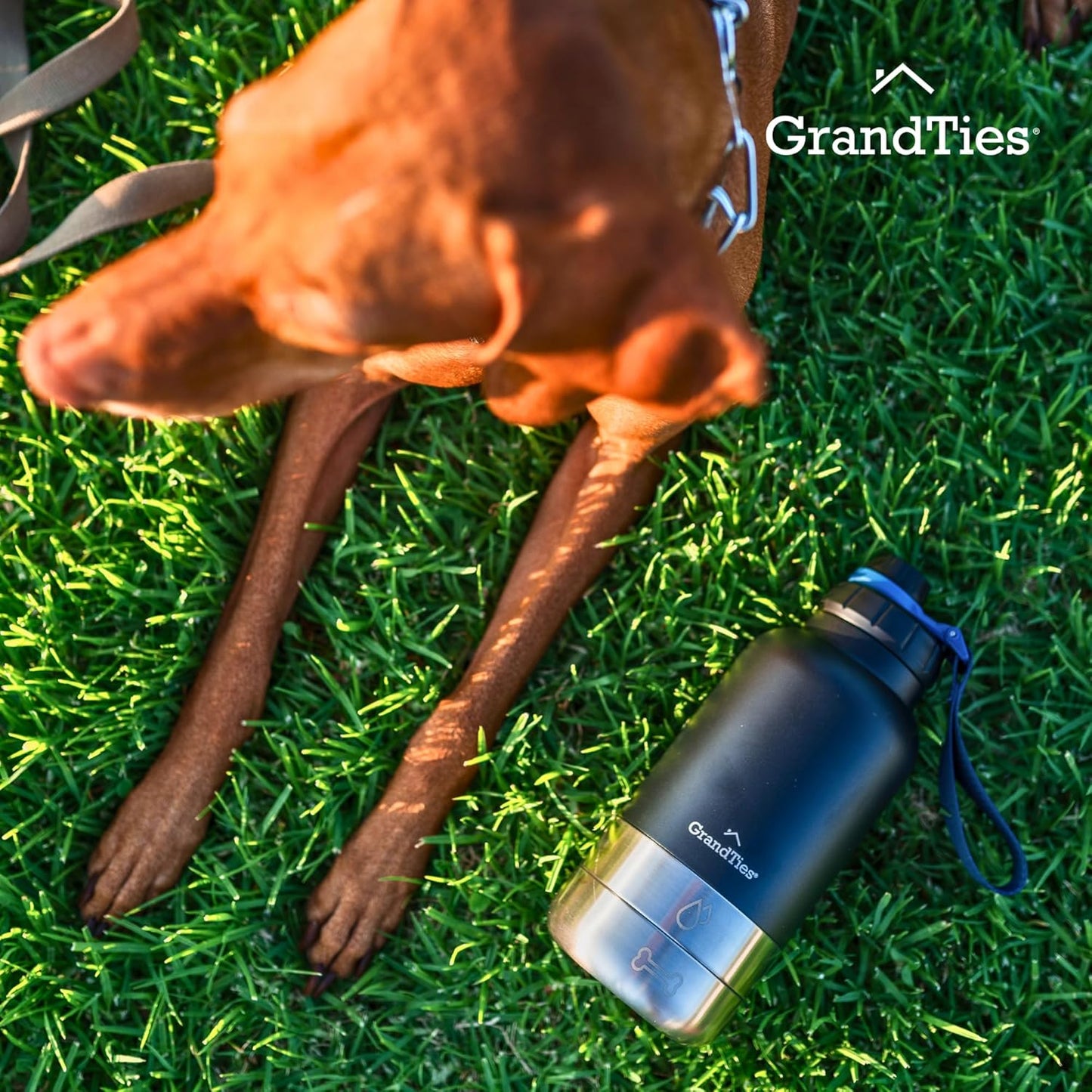 Isolierte Hundewasserflasche mit 2 abnehmbaren Hundenäpfen, Midnight Black Large 64oz/1890mL