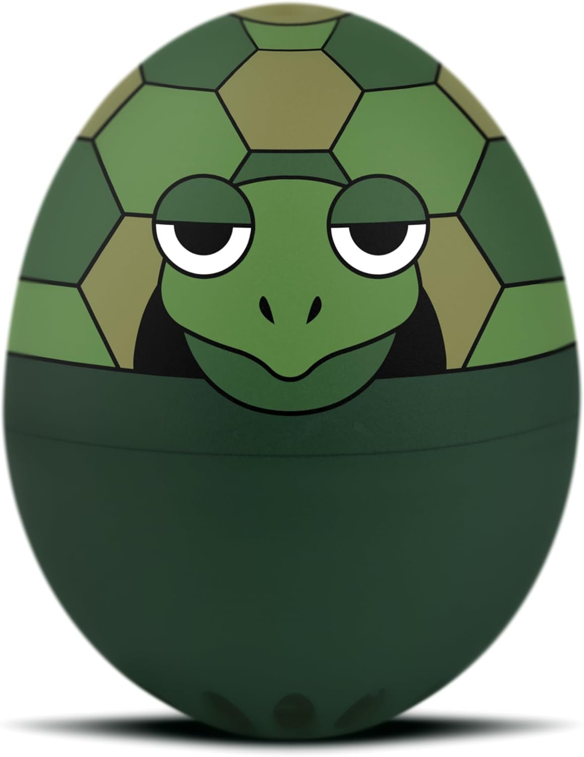 Singende Eieruhr Schildkröte, Schildkröte