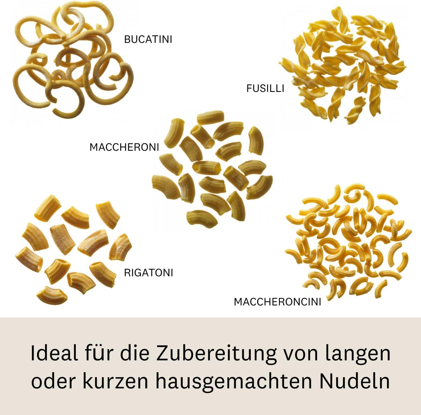 RE17-Regina Nudelmaschine für hausgemachte Pasta
