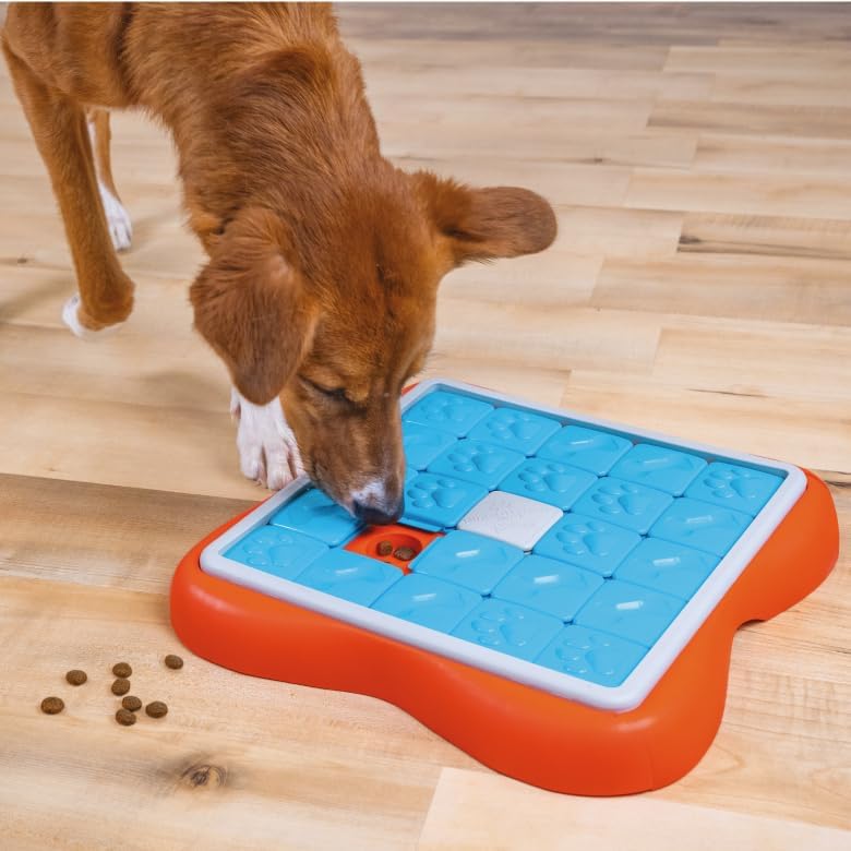 Challenge Slider Hundespielzeug-Puzzle, Challenge Slider Level 3 (Fortgeschritten)