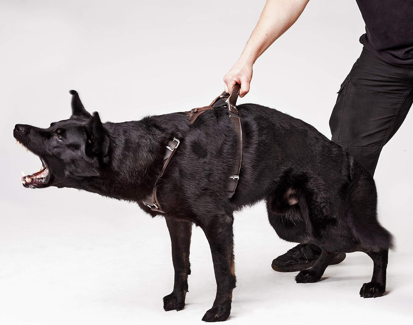 Hundegeschirr, bronze XL