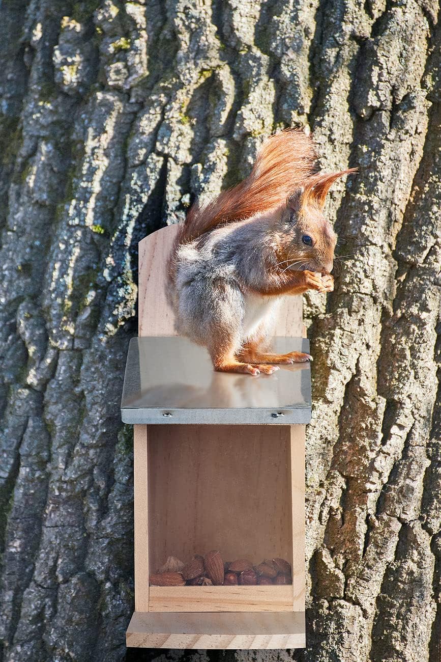 2er-Set Bausatz für Eichhörnchen-Futterstation