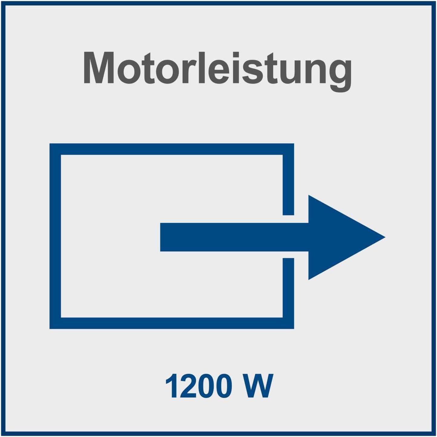 Aschesauger AVC20 mit Filterreinigung (1200W)