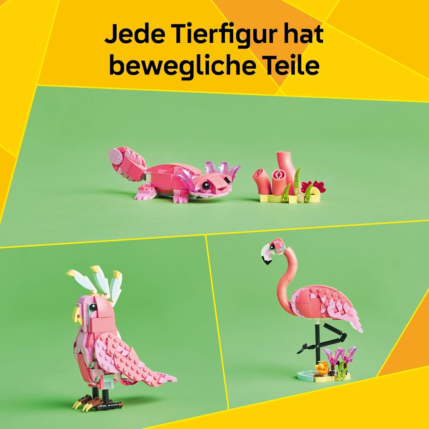 Wilde Tiere: Rosa Flamingo