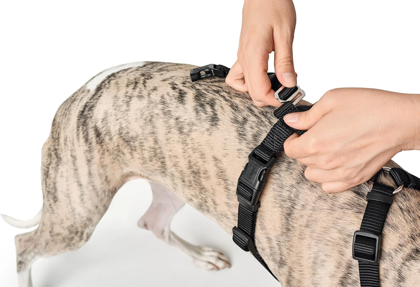 Hundegeschirr 38-52 cm Braun Schwarz XS/S, schwarz Einheitsgrösse