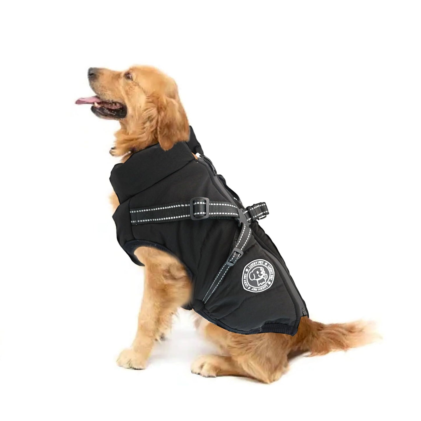 Wasserdichter Hundemantel mit Geschirr, Schwarz XS: Brustumfang 37-42CM
